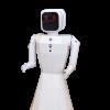 AI INTELLIGENT HUMANOID - NILA ROBOT-001